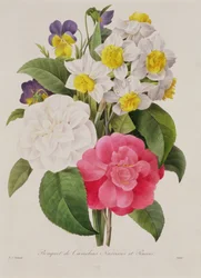 Camellias, Narcissus and Pansies, engraved by Victor, pub. 1827